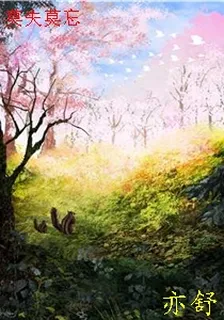 莫失莫忘 封面