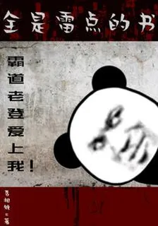 全是雷點的書 封面