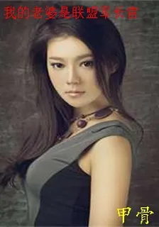 我的老婆是聯盟軍長官 封面