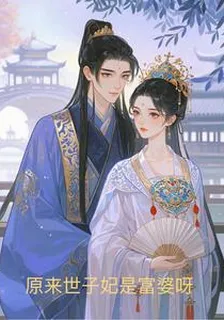 原來世子妃是富婆呀 封面