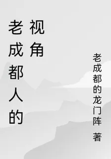 一個老成都人的人生視角 封面