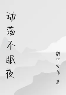 動盪不眠夜 封面