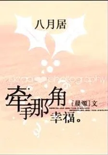 牽手那一角幸福 封面