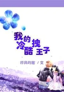我的冷酷拽王子 封面