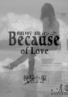 倾听我心之Because of Love 封面