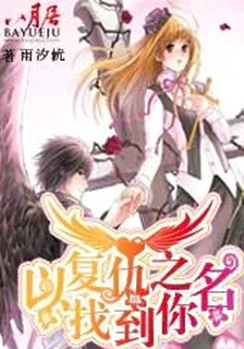 以復仇之名找到你 封面