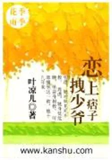 恋上痞子拽少爷 封面
