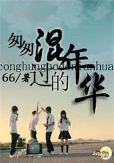 匆匆混过的年华 封面