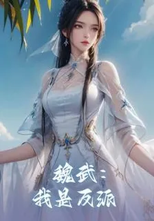 魏武：我是反派 封面