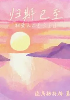 歸期已至 封面