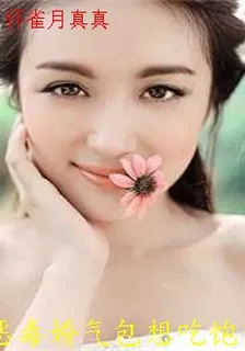 懷雀月真真 封面