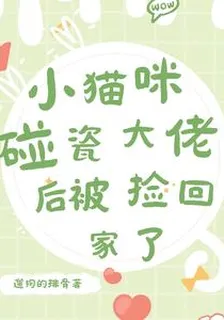 小貓咪碰瓷大佬後被撿回家了 封面