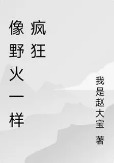 像野火一樣 封面