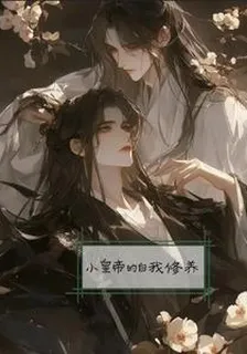 小皇帝的自我修養 封面