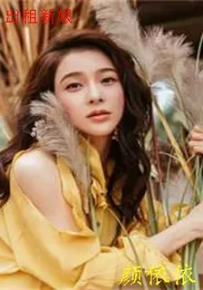 出租新娘 封面