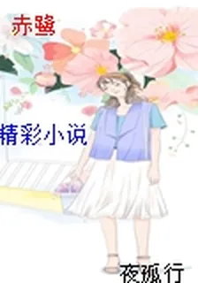 赤鷺 封面