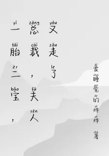 一胎二寶，總裁，夫人又走了 封面