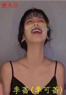 漫天羽 封面