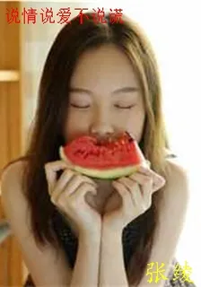 說情說愛不說謊 封面