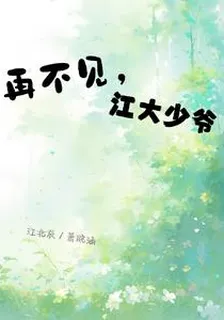 再不見，江大少爺 封面