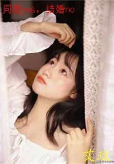 同居yes，結婚no 封面