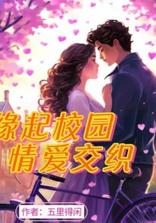 緣起校園，交織錯過 封面