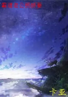 霸道老公拐嬌妻 封面
