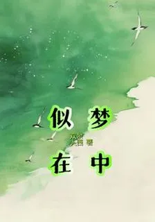 似在夢中 封面