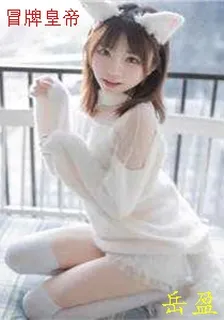 冒牌皇帝 封面