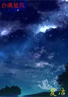 沙漠旋風 封面