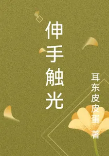 伸手觸光 封面
