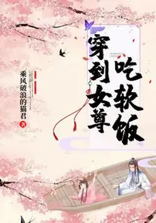 穿到女尊喫軟飯 封面
