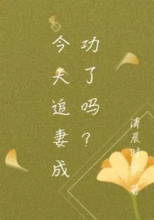 今天追妻成功了嗎？ 封面