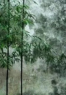 盜筆穿HP成萬人迷了 封面