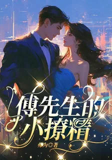 傅先生的小撩精 封面