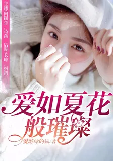 愛如夏花般璀璨 封面