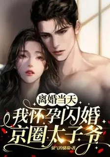 離婚當天，我閃婚京圈太子爺 封面