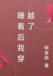 睡着後我穿越了 封面