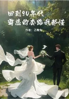 回到90年代：霸總的套路我都懂 封面
