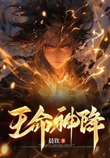王命神降 封面