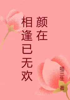相逢已無歡顏在 封面
