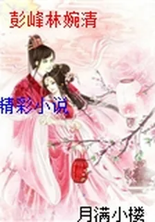 彭峯林婉清 封面