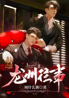 龍州往事 封面