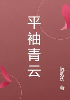 平袖青雲 封面