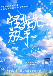 怪我先放手 封面