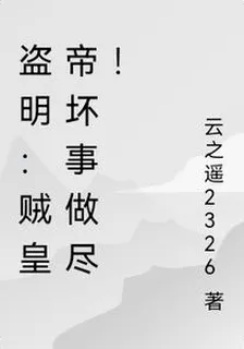 盜明：賊皇帝壞事做盡！ 封面
