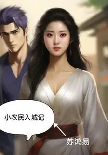 小農民入城記 封面