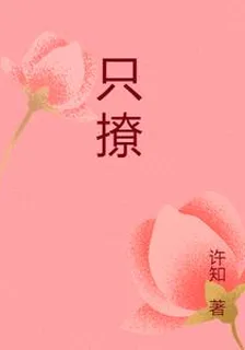 只撩 封面