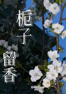 梔子留香 封面