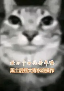 撿幾個女兒去養嘍 封面